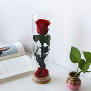 Elena - Eeuwige Rode Roos in Glazen Stolp