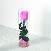 Elena - Eeuwige Rode Roos in Glazen Stolp