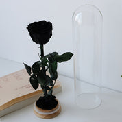 Elena - Eeuwige Rode Roos in Glazen Stolp