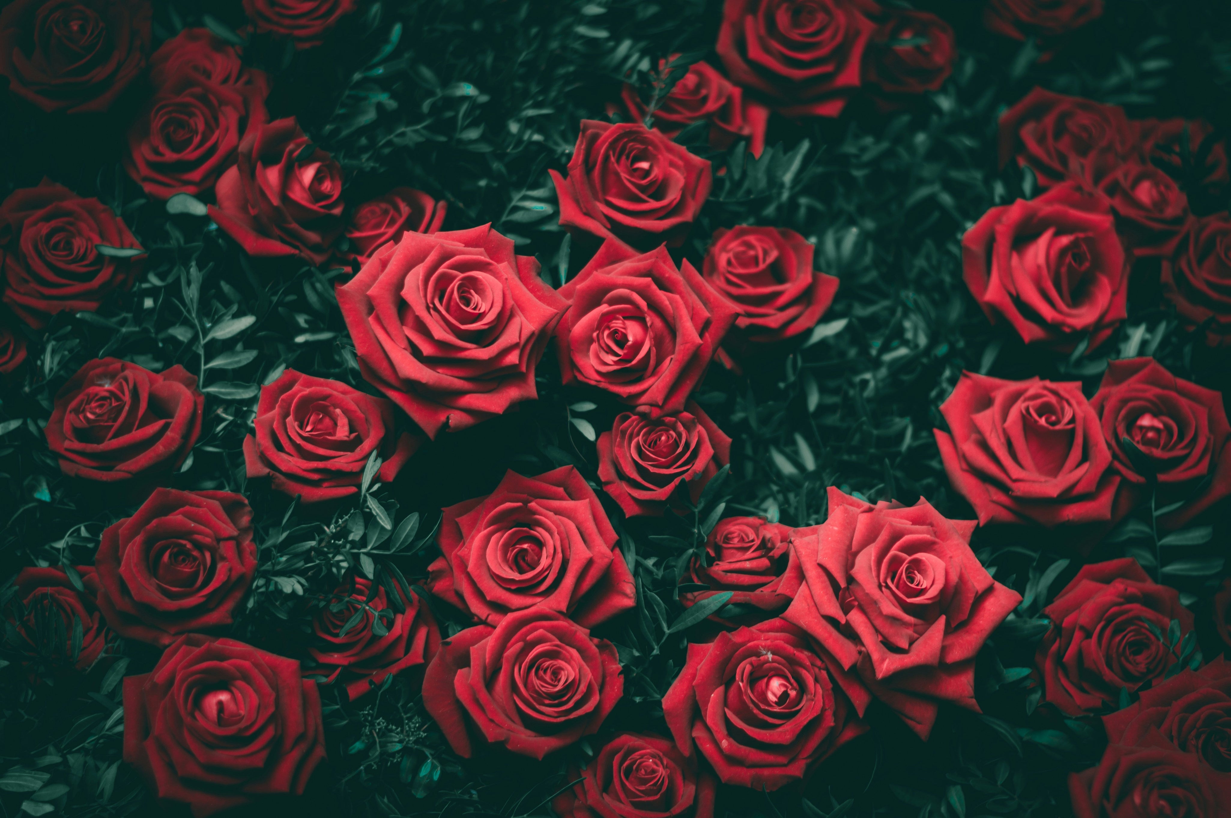 Valentijn