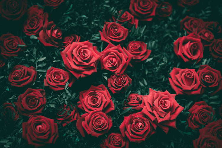 Valentijn