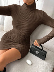 Jurk met hoge col en lange mouwen in slim fit