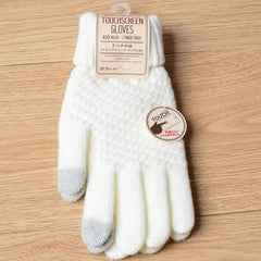 Sophie | Stijlvolle en functionele gebreide handschoenen in de kleur Zwart voor dames in stijl ideaal voor de winter